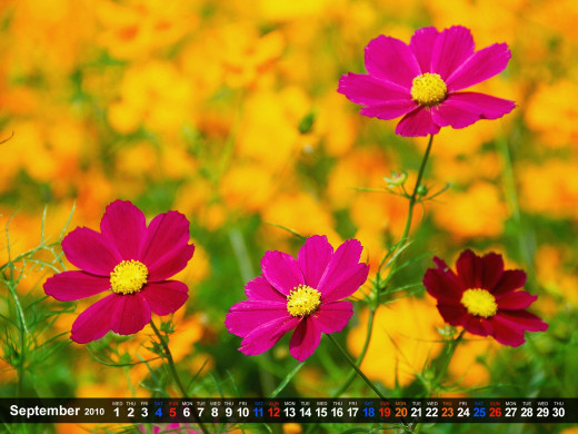 403278 (a): :1600x1200
